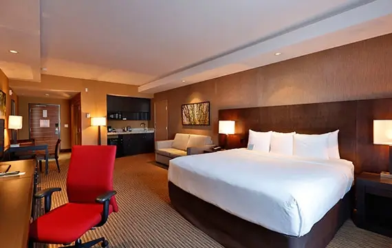 Deluxe Room 1 King with Sofa Bed