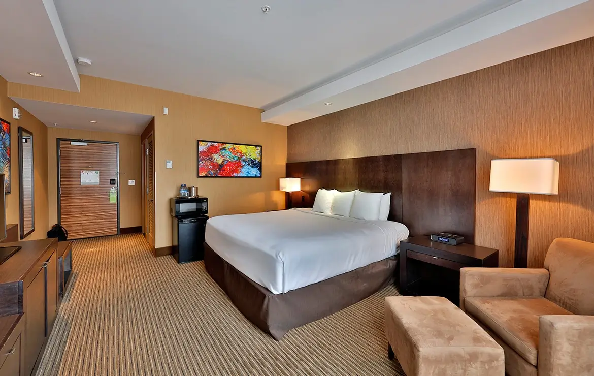 Premium Room 1 King Accessible 