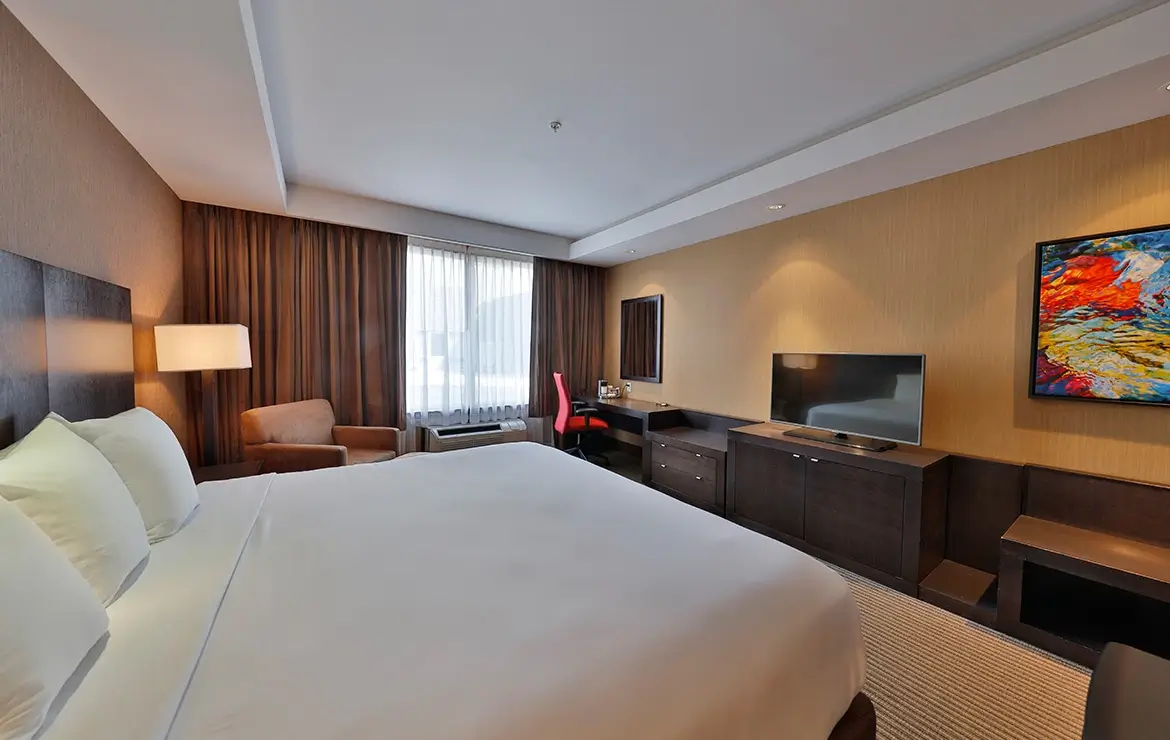 Premium Room 1 King Accessible 